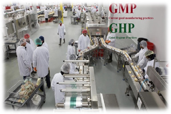 آشنایی با اصول GMP